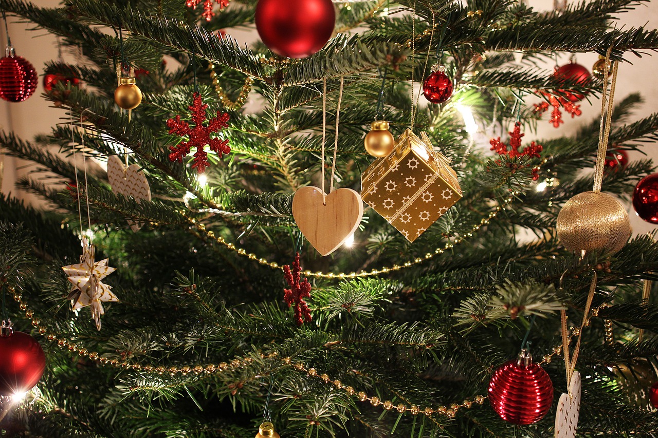 kerstbomen bij Jonkheer Plantencentrum Hillegom