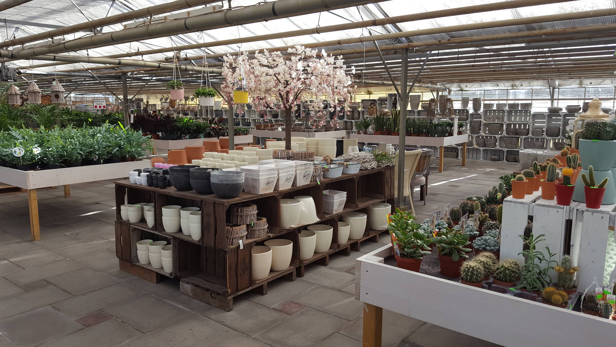 assortiment binnenpotten en buitenpotten bij Jonkheer Plantencentrum Hillegom